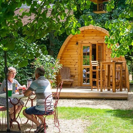 Cabane En Bois Avec Bain Nordique Asnieres-sur-Vegre Exteriör bild